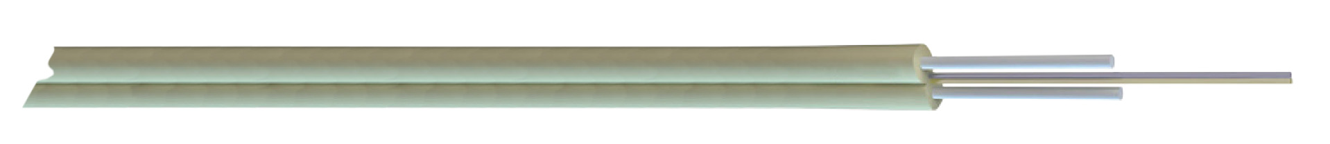 56204.3