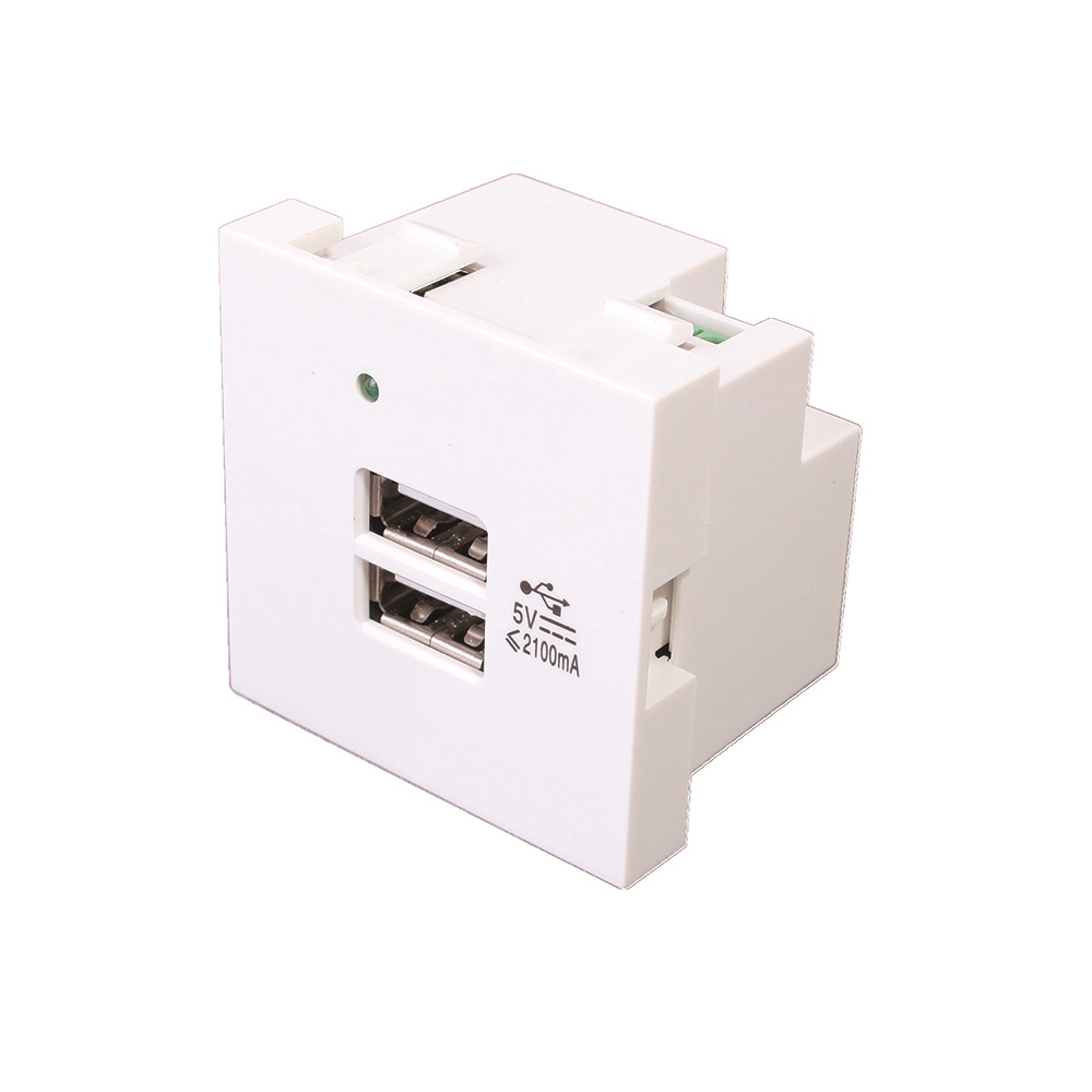 Modulo 2 tomas cargador USB 45 x 45