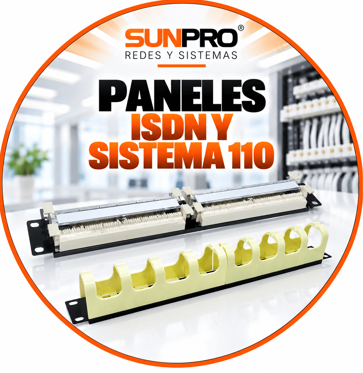 PANELES ISDN Y SISTEMA 110